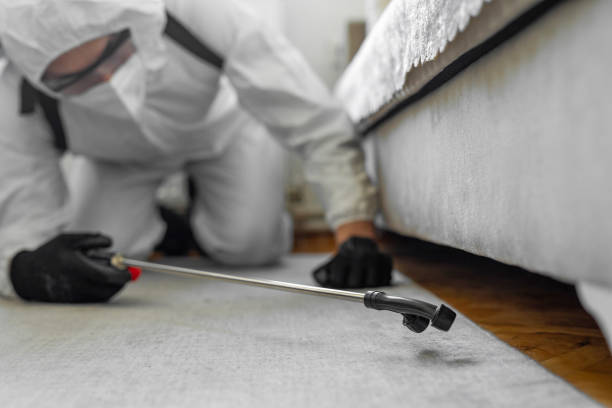 Professional Termite Control technician working in Iowa Park, TX