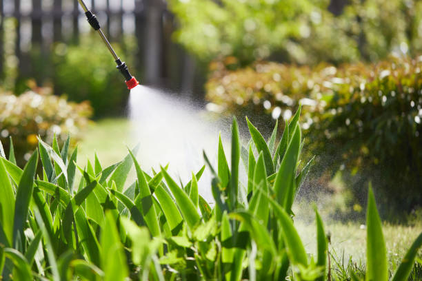 24/7 Emergency Termite Control experts in Iowa Park, TX